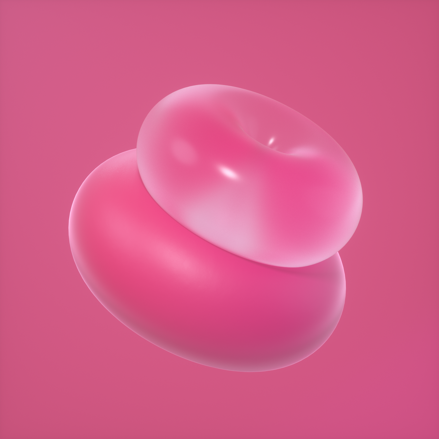 코르크베어 모든 아이템