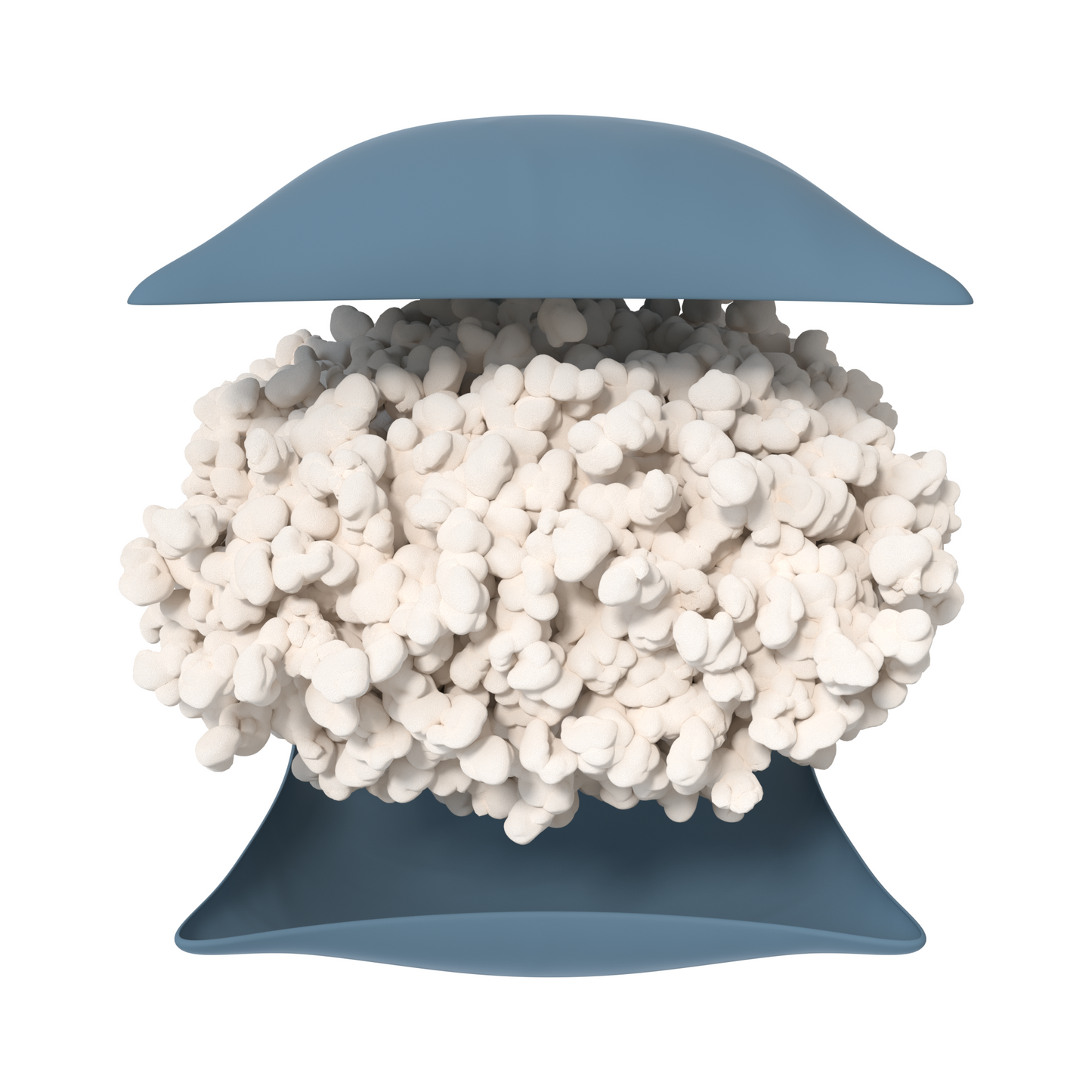 코르크베어 팝콘 쿠션