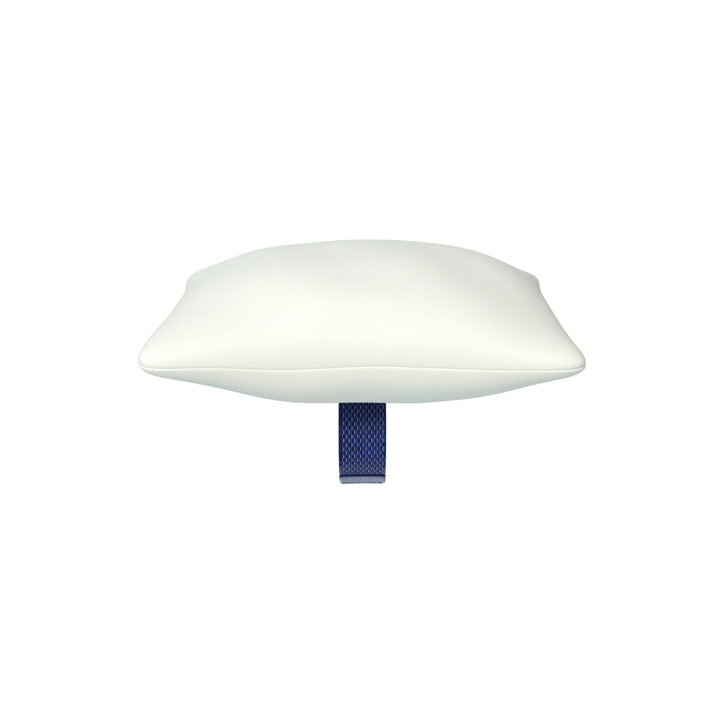 코르크베어 팝콘 낮잠 베개