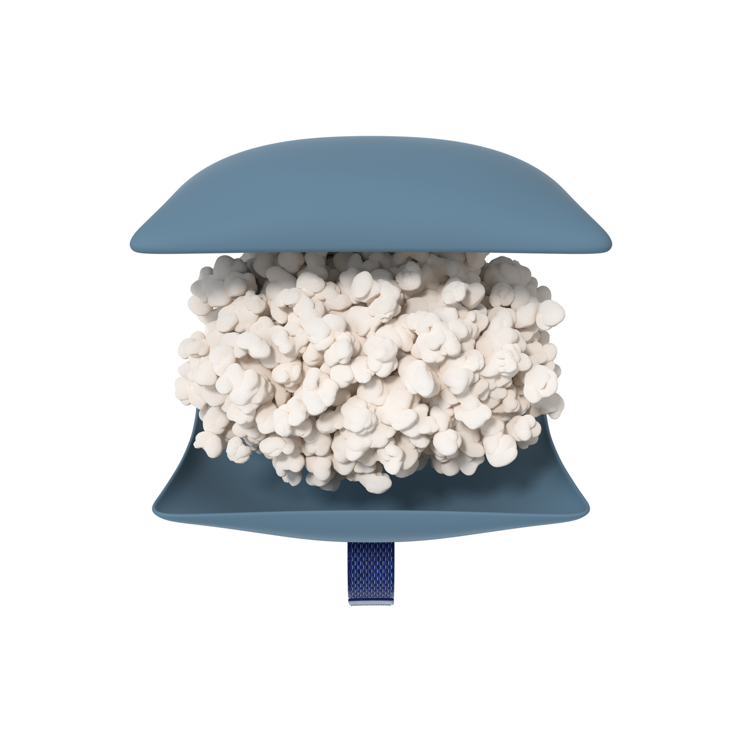 코르크베어 팝콘 낮잠 베개