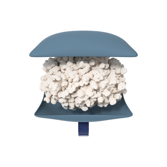 코르크베어 팝콘 낮잠 베개